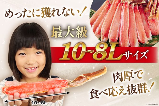 スーパージャンボ 10-8L 生 ずわいがに 半むき身満足セット 総 スーパージャンボ 10-8L 生 ずわいがに 半むき身満足セット 総