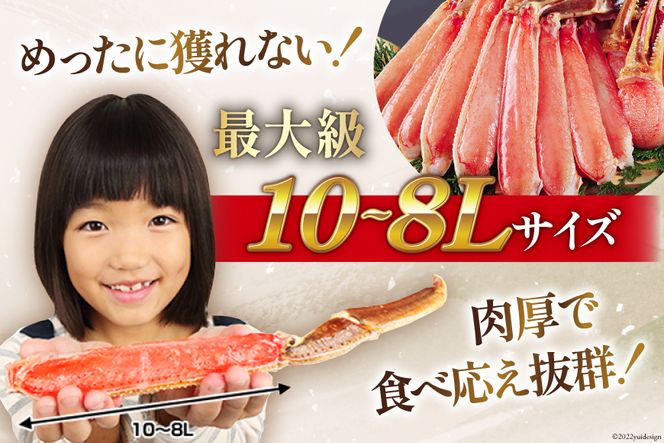 スーパージャンボ 10-8L 生 ずわいがに 半むき身満足セット 総重量約2.6kg(正味重量2kg以上) 手剥き・カット済 / カネダイ / 宮城県 気仙沼市 ( ポーション 冷凍 蟹 カニ かに ズワイガニ ズワイ蟹 むき身 半むき身 しゃぶしゃぶ かに鍋 カニスキ かに本舗) [20561579]