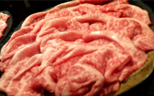 【12回定期便】【最高峰】長崎和牛 霜降り もも肉 400g サガリ肉 300g 西京噌漬け / 南島原市 / はなぶさ [SCN084]