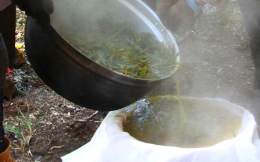 金明竹 （キンメイチク）・ レモングラス染 手ぬぐい 黄色・カーキ 2個セット 綿 100％