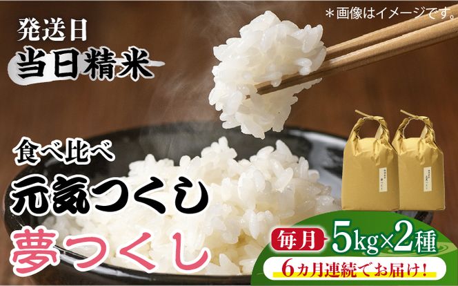 【先行予約】【全6回定期便】福岡県産【特A米】元気つくし【A米】夢つくしの食べ比べ 各5kg×2袋 [10kg] [白米]《築上町》【2024年11月下旬以降順次発送】【株式会社ベネフィス】[ABDF125]