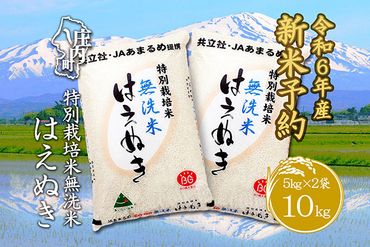 新米受付　令和6年産米　特別栽培米はえぬき無洗米　10kg 