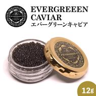 宮崎県産キャビア　EVERGREEEN　CAVIAR　エバーグリーンキャビア　12g　N0183-YC221