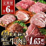 isa513 【定期便６回】満足贅沢 牛肉定期便(合計4.65kg超) 【サンキョーミート株式会社】