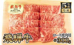 飛騨牛ロース焼肉用 約300g（5等級/冷凍） [No.214]