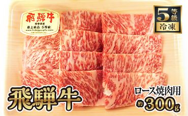 飛騨牛ロース焼肉用 約300g（5等級/冷凍） [No.214]
