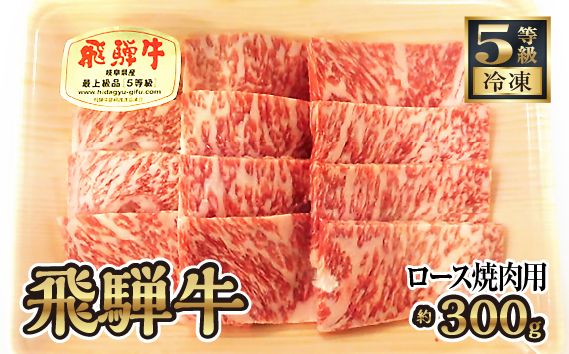 飛騨牛ロース焼肉用 約300g（5等級/冷凍） [No.214]