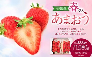 春の あまおう （2L・2A・G規格以上 約250g～270g×4パック） いちご 苺 イチゴ【2025年3月上旬～4月下旬発送予定】