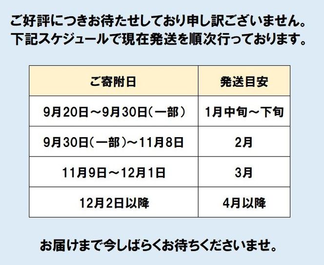 FM030_【大好評につき最大半年待ち】佐賀牛入り熟成生ハンバーグ 20個