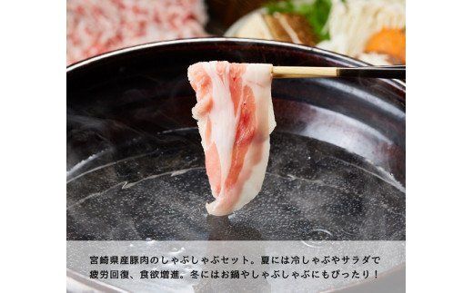 宮崎県産豚肉しゃぶしゃぶセット3kg [G7522]