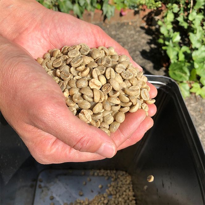 【粉】マサマキリマンジャロKIBO500g 自家焙煎コーヒーとみかわ 富山 魚津