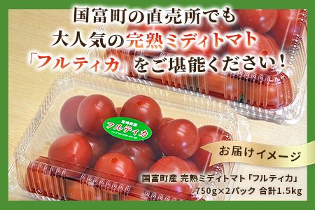 予約受付＜国富町産 完熟ミディトマト「フルティカ」1.5kg＞2025年1月上旬～5月下旬迄に順次出荷【 トマト 新鮮 野菜 先行予約 農家直送 季節物 数量限定 季節限定 サラダ 1.5キロ 】【b0727_sn】