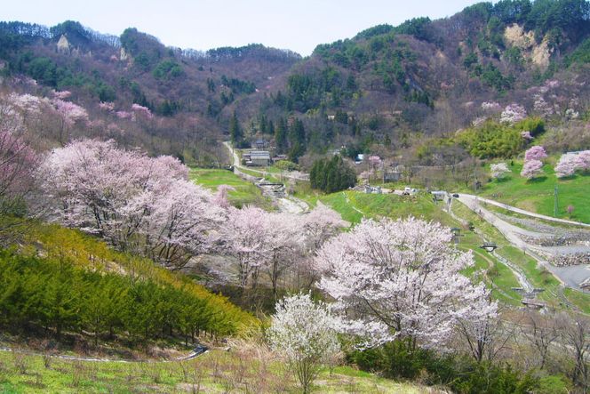 【返礼品なしの寄附】長野県池田町への応援 1口：100,000円 [長野県 池田町 48110651] 寄附 応援 支援 寄付のみ