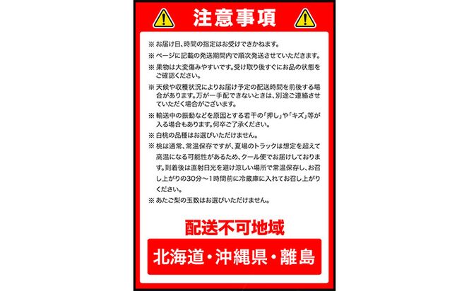 【2025年先行予約】 定期便6回コース 岡山のフルーツ 清水白桃 6玉 岡山の白桃 6玉 ニューピオーネ 1房 瀬戸ジャイアンツ 1房 シャインマスカット 晴王 2房 紫苑 1房 あたご梨 4~5玉 株式会社山博(中本青果) 《2025年7月上旬-12月下旬頃出荷》岡山県 浅口市---124_c257tei_23_175000_jul6---