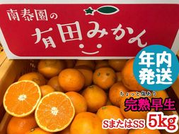 年内発送 ちょっと 傷あり 完熟早生 有田みかん S または SS 5kg 和歌山 南泰園 みかん BS648
