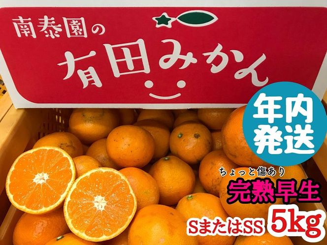 年内発送 ちょっと 傷あり 完熟早生 有田みかん S または SS 5kg 和歌山 南泰園 みかん BS648