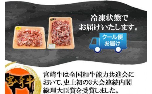 ＜宮崎牛とブランドポークの小間切れセット 1kg＞翌月末迄に順次出荷【a0149_sb】