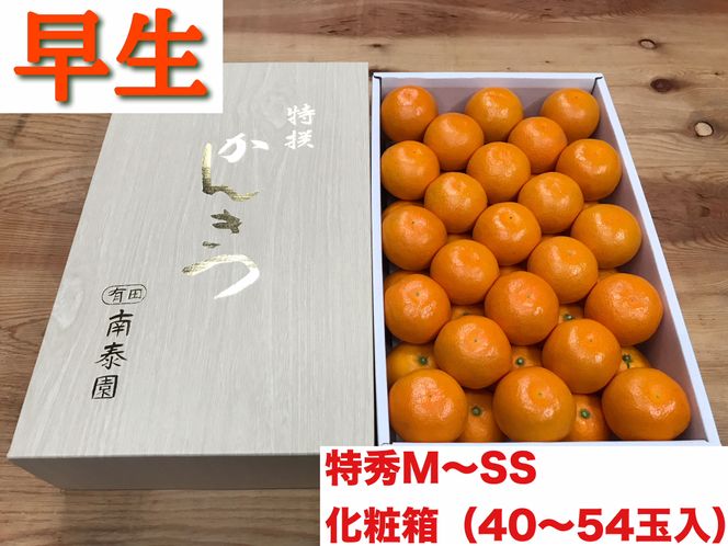 頒布会 有田かんきつ 定期便 7ヶ月間 南泰園 みかん  BS802