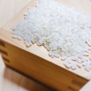 【令和7年度産　新米】埼玉県産　コシヒカリ　１０キロ（５キロ×２袋）