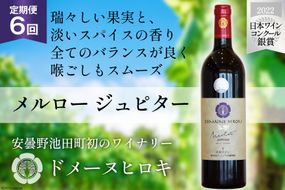 【6回 ワイン 定期便 】メルロー ジュピター 750ml 1本 ×6回 総計6本 [ 赤ワイン 赤 ドメーヌヒロキ ] / ヴィニョブル安曇野 / 長野県 池田町 [48110347]