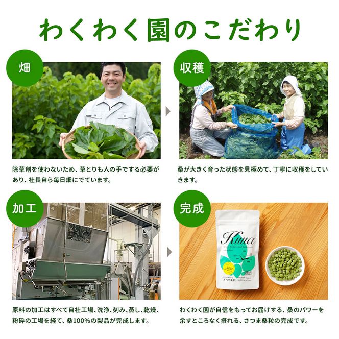 a934 さつま桑粒10袋セット【わくわく園】桑の葉 サプリ サプリメント くわ 天然100％ 有機 桑の葉 有機JAS