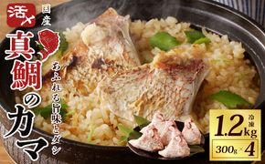 nbj0001 国産 活〆養殖 真鯛のカマ 合計1.2kg【小分け 300g×4P 訳あり サイズ不揃い 冷凍】