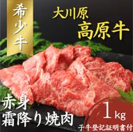 【CF】大川原高原牛  赤身霜降り焼肉　1kg《60日以内に出荷予定(土日祝除く)》 ---sanagouchi_nfw_3_1kg---