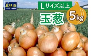 【予約：2024年10月中旬から順次発送】玉葱 5kg Lサイズ以上 ( たまねぎ 玉ねぎ タマネギ 5キロ 野菜 北海道産 ふるさと納税 玉ねぎ生産量日本一 北見市 )【148-0002-2024】