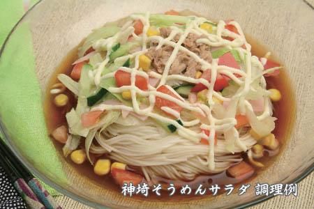 佐賀県特産品 神埼そうめん 17入 つゆ付 【素麺 そうめん 乾麺 お中元 贈答用 無添加 夏 自家用 麺類 簡単 手軽 保存食 佐賀県産 国産】(H014132)