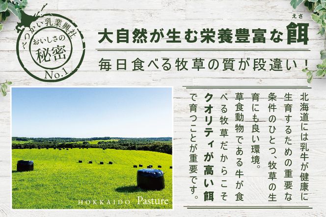 ＜北海道産＞べつかいのアイスクリーム屋さん　プレミアムミルクリッチ　120ml　12個入【高島屋選定品】TK0000056