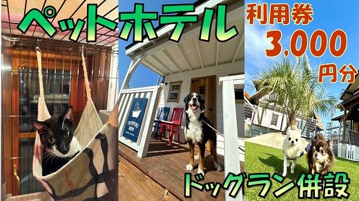 yOdszy1-392zybgzep3,000~