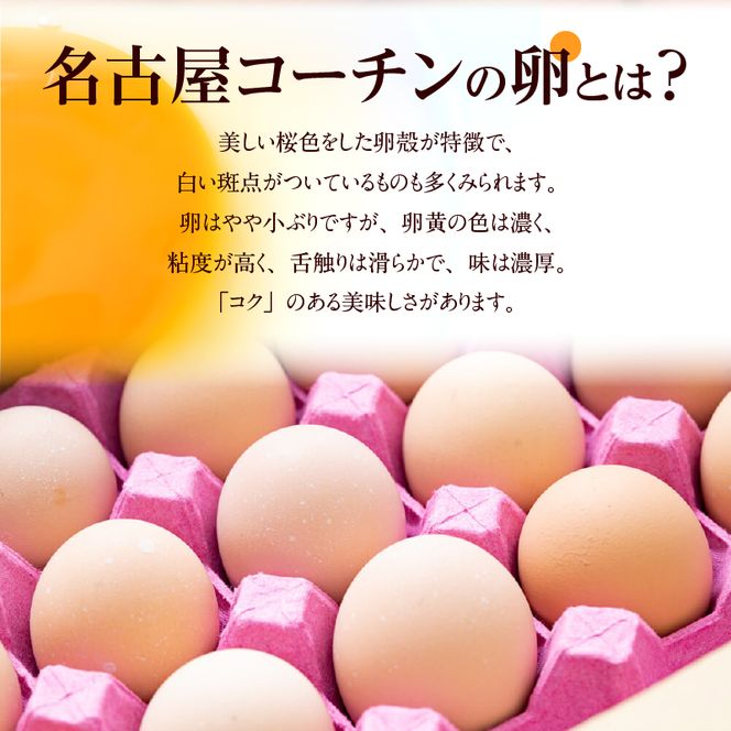 【3ヶ月定期便】名古屋コーチン卵・仙寿卵お試しセット（各10個入り）×3回（計各30個） [006K02-T]