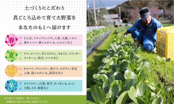 【定期便/年12回/毎月お届け】有機JAS認証 旬の野菜セット 8品【ぶたちゃんの畑】_HB0162