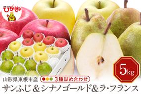 【2026年産】サンふじ&シナノゴールド＆ラフランス 詰め合わせ 5kg 秀品 化粧箱入り 山形県 東根市 東根農産センター提供 hi027-213-r8