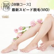 【体験コース】最新スピード脱毛(VIO)《 美容 脱毛 VIO 最新 スピード はやい 体験 女性 ご褒美 贅沢 息抜き 》【2400L11805】