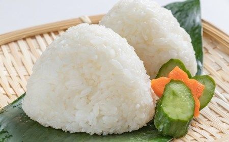 CA023 特別栽培米ながさきにこまる[ 白米 精米 ごはん ご飯 こめ おこめ もちもち おにぎり 粘り おいしい 長崎県産 長崎県産米 長崎にこまる 長崎県 島原市 ]
