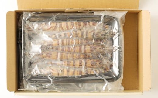 ｢極｣ 原点の車海老 ｢急速冷凍｣ 500g (12～14尾) 特大サイズ【2025年11月下旬より順次発送予定】