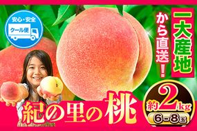 先行予約 桃 もも 和歌山県産 約2kg 《2025年6月中旬-8月中旬頃出荷》 紀の里の桃 送料無料 6～8玉入り 旬の桃を厳選 あかつき モモ 果物 フルーツ お取り寄せ あかつき 予約 和歌山 白鳳 日川白鳳 八旗白鳳 清水白桃 川中島白桃 つきあかり---wfn_cwlocal9_6c8c_24_13000_2kg---