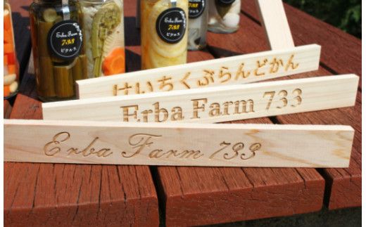 【農家こだわりの 野菜 使用】 ピクルス + 京築ヒノキ イーゼル セット《築上町》【ERBA　FARM733】[ABAP005]