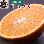 ［先行予約］厳選 はっさく5kg+250g（傷み補償分）［八朔みかん］［光センサー選別］ CZ094