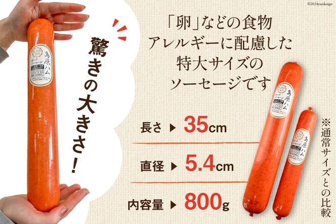 AI064 特大！ 島原ハム ポークソーセージ 800g×2本 セット [ ハム ソーセージ ウインナー 肉 お弁当 豚肉 おつまみ 国産 焼き肉 BBQ 惣菜 バーベキュー 長崎県 島原市 ]