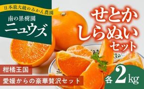 【先行予約受付中】産地直送！愛媛県産せとか2kg・しらぬい（不知火）2kgセット ※2025年2月下旬～3月下旬頃に順次発送予定 ≪柑橘 みかん ギフト≫