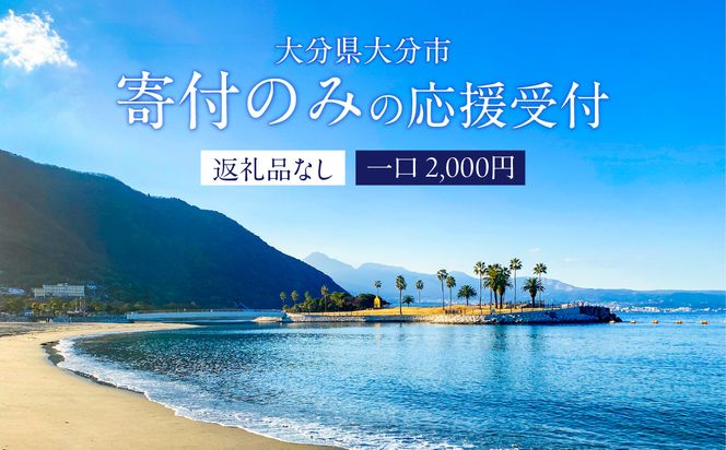 【Z03002】大分県大分市 返礼品なし（寄附のみの受付となります） 一口2,000円