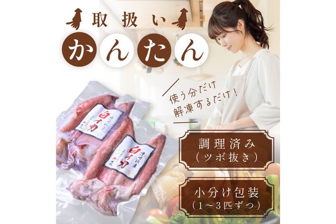 BBQに最適！　白イカ（ケンサキイカ）　調理済み　正味1K入り（4～8匹）　※小分け真空包装　UO01058