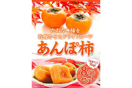 和歌山県産 あんぽ柿 70g×8個セット 紀の川市厳選館 [90日以内に出荷予定(土日祝除く)] 和歌山県 紀の川市 種なし柿 干し柿 ドライフルーツ カキ かき ジューシー フルーツ 和菓子---wsk_gsk44_30d_23_12000_8k---