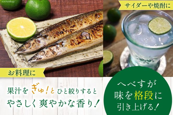 【期間限定発送】 へべす ひなたGAP認定 ふぞろい 2kg [へべすの悠美園 宮崎県 日向市 452060725] ヘベス 宮崎 果物 フルーツ くだもの 柑橘 ポン酢 調味料 果汁
