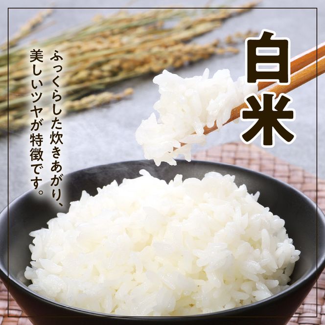 宮崎ヒノヒカリ 延岡産 白米と白い玄米セット 合計10.8kg N0149 宮崎ヒノヒカリ 延岡産 白米と白い玄米セット 合計10.8kg N0149