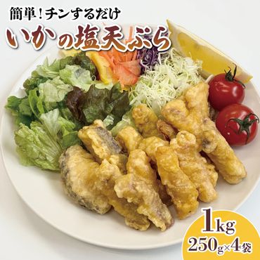イカ 塩 天ぷら 1kg 250g×4袋 小分け 惣菜 簡単調理[56500616]