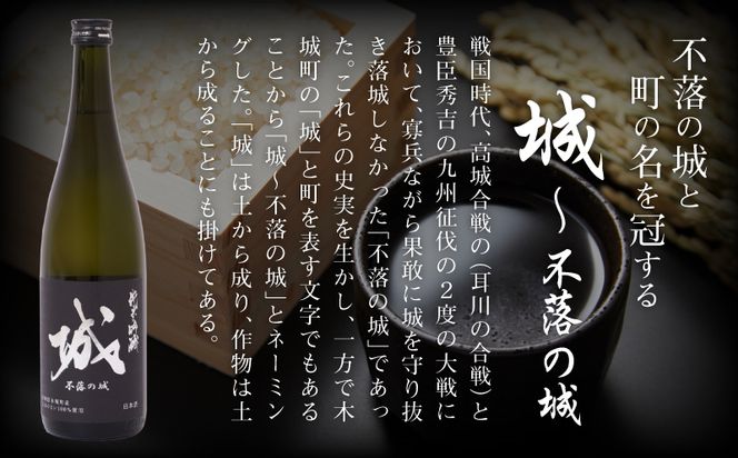 ＜【7日以内に発送！】令和6年産 木城町・毛呂山町 新しき村友情都市コラボ 日本酒 純米吟醸「城 ～不落の城」3本＞ K21_0028