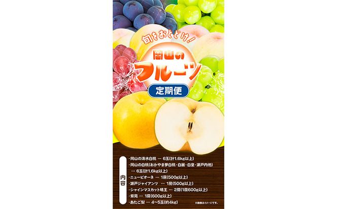 【2025年先行予約】 定期便6回コース 岡山のフルーツ 清水白桃 6玉 岡山の白桃 6玉 ニューピオーネ 1房 瀬戸ジャイアンツ 1房 シャインマスカット 晴王 2房 紫苑 1房 あたご梨 4~5玉 株式会社山博(中本青果) 《2025年7月上旬-12月下旬頃出荷》岡山県 浅口市---124_c257tei_23_175000_jul6---